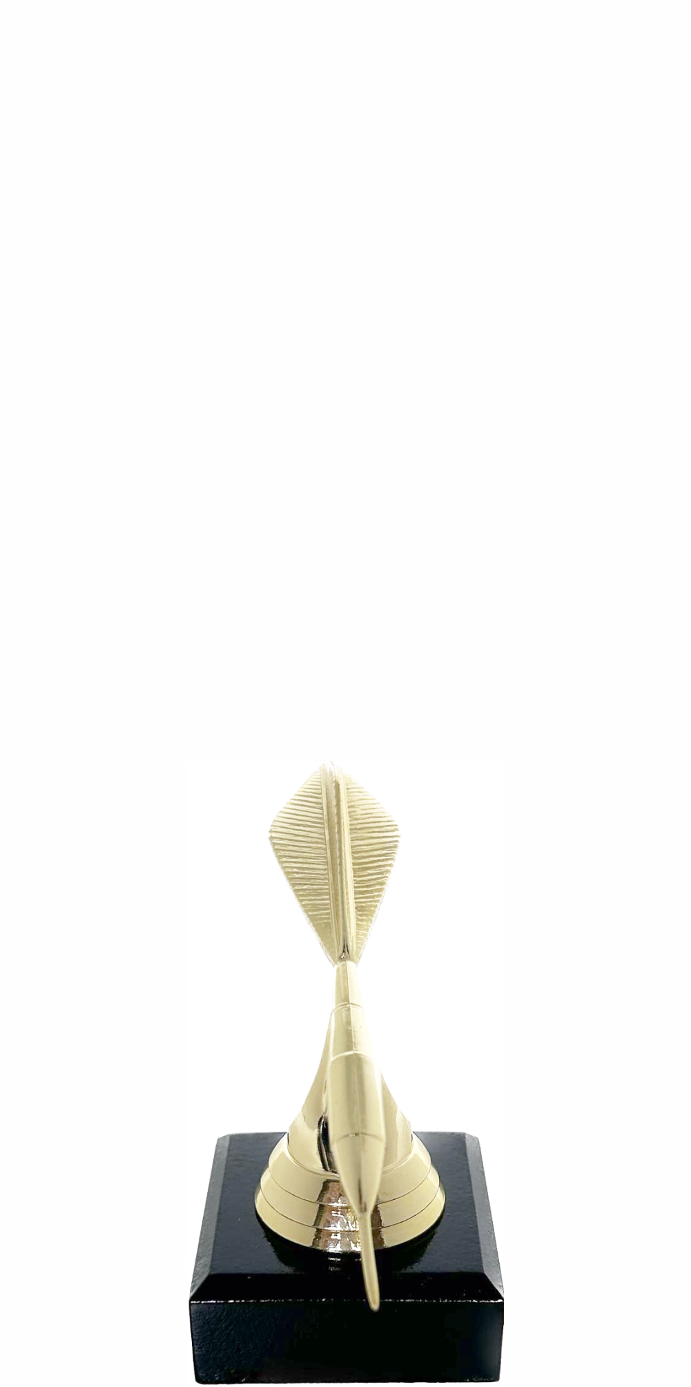Darts Trophy 100mm