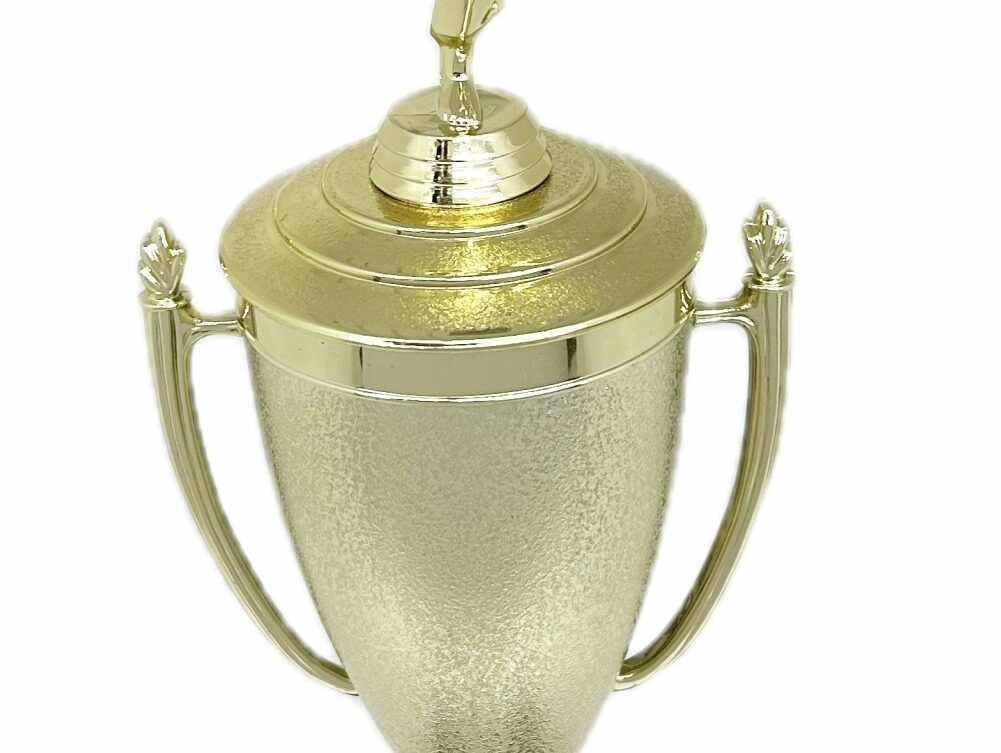 Karate Female Trophy 420mm