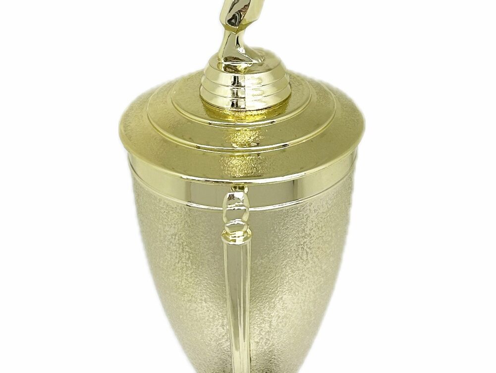 Karate Female Trophy 420mm