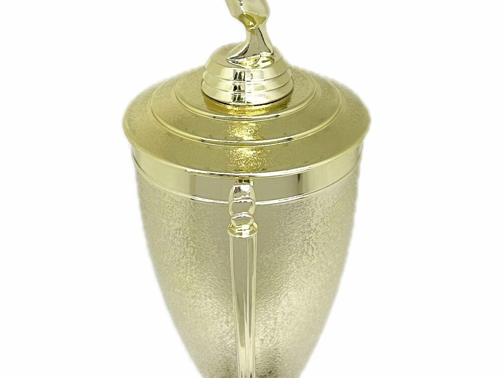 Karate Female Trophy 420mm