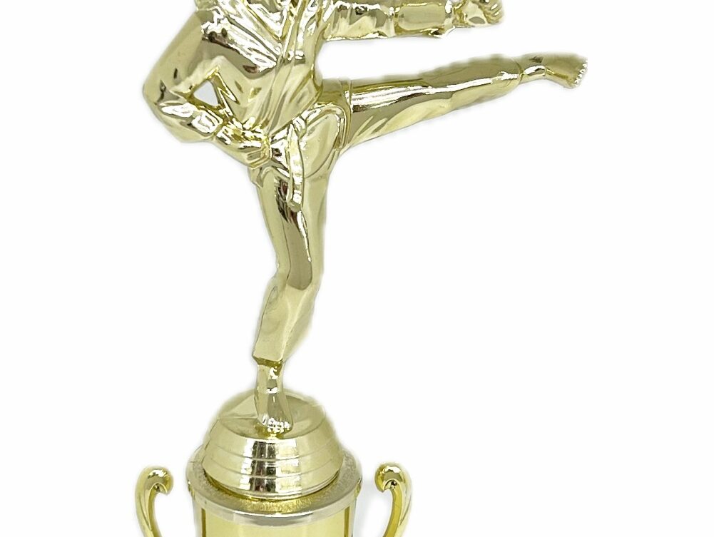 Karate Female Trophy 310mm