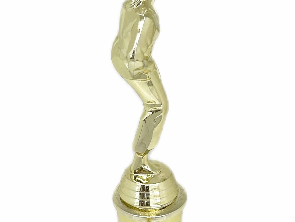 Karate Female Trophy 310mm