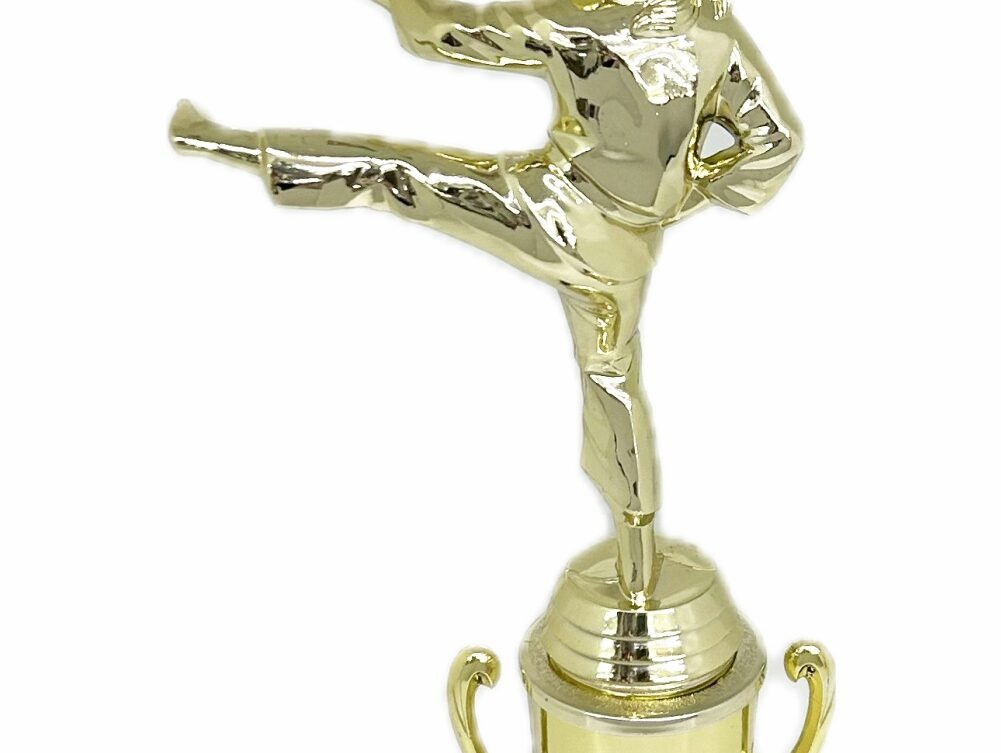 Karate Female Trophy 310mm