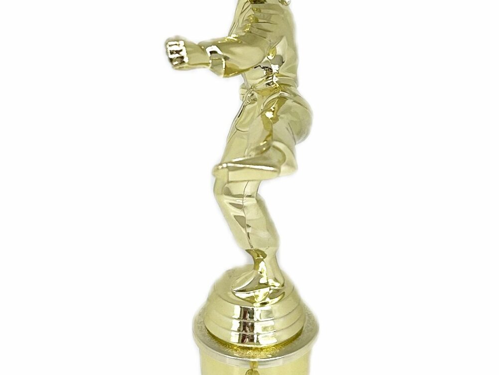 Karate Female Trophy 310mm