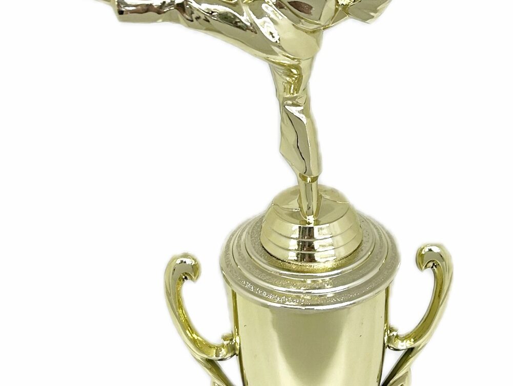Karate Female Trophy 350mm