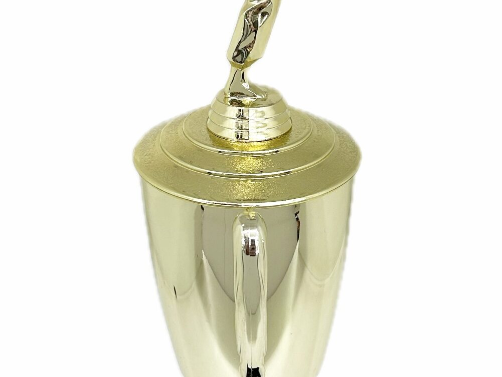Karate Female Trophy 390mm