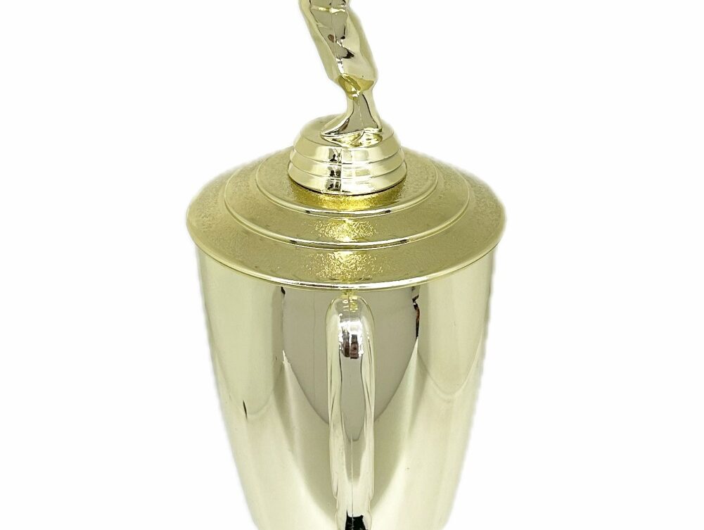 Karate Female Trophy 390mm