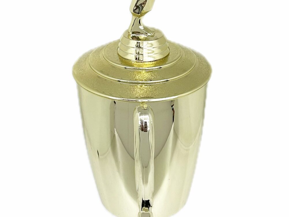 Karate Female Trophy 420mm