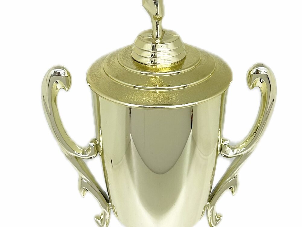 Karate Female Trophy 420mm