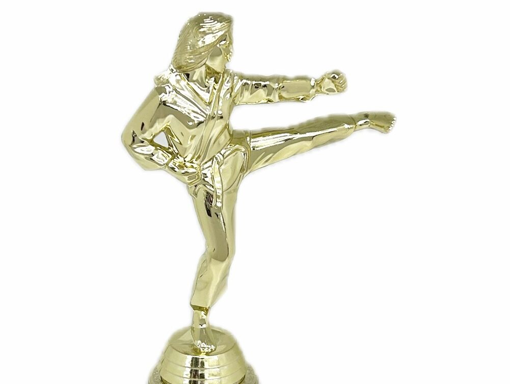 Karate Female Trophy 290mm