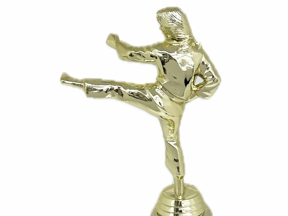 Karate Female Trophy 290mm