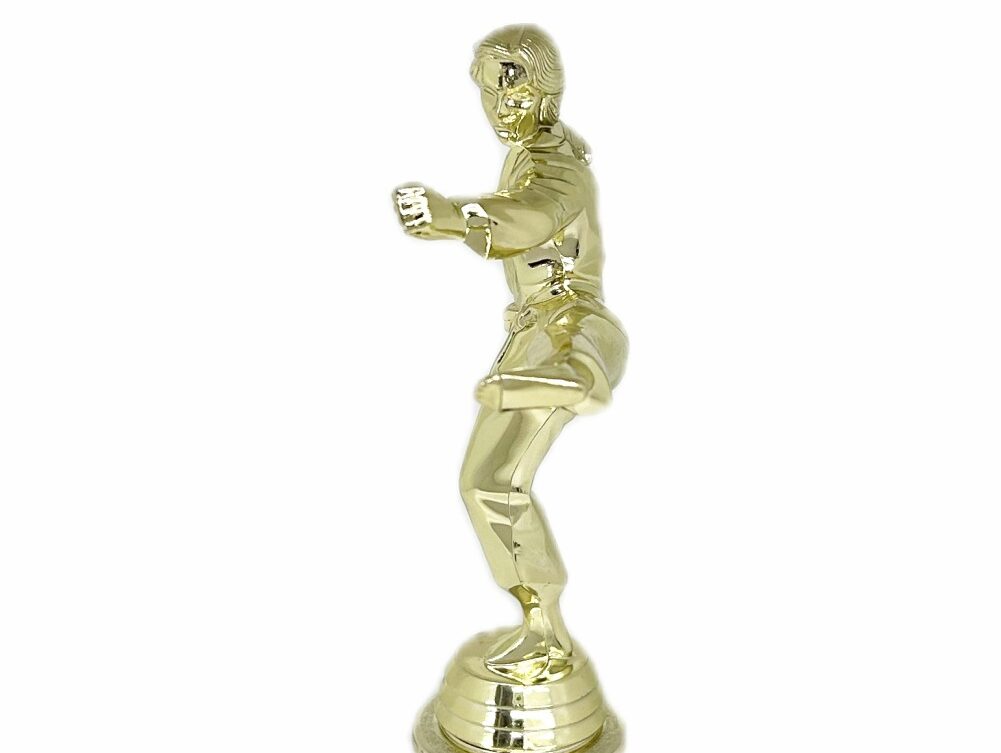 Karate Female Trophy 290mm