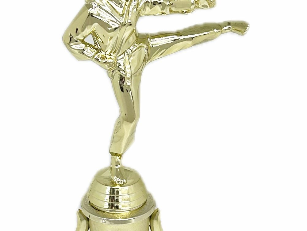 Karate Female Trophy 310mm