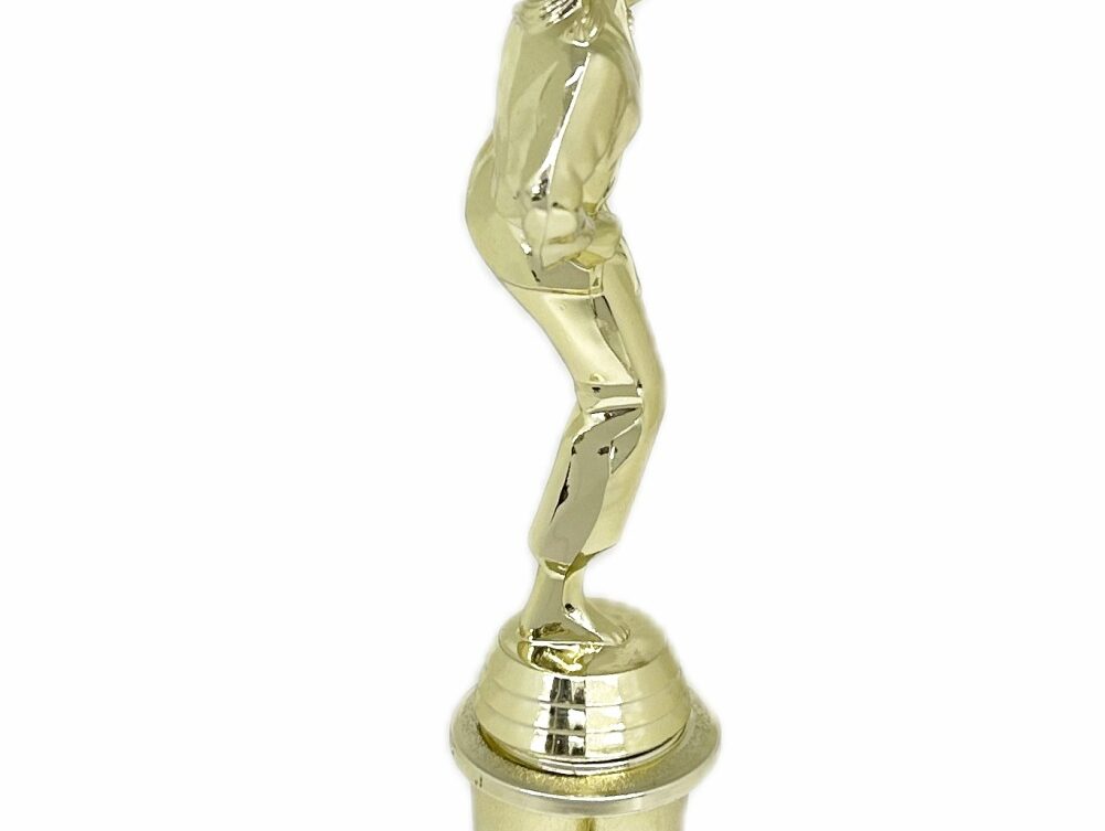 Karate Female Trophy 310mm