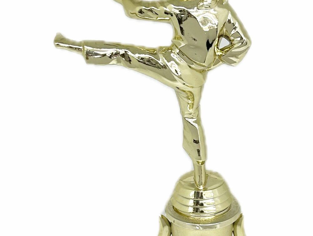 Karate Female Trophy 310mm