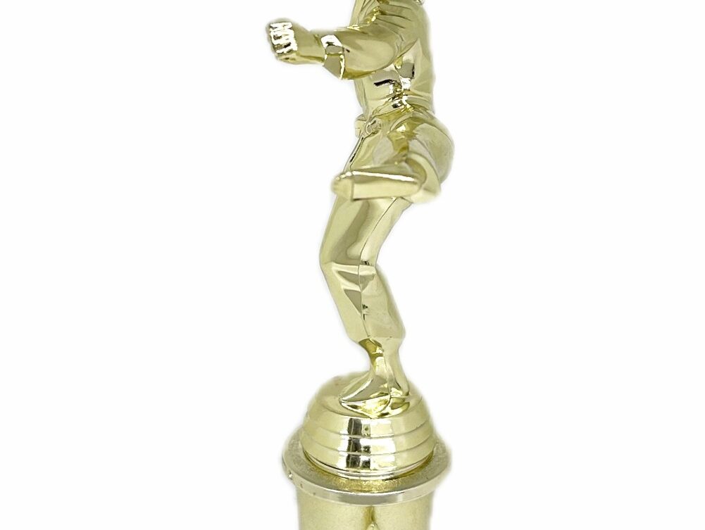 Karate Female Trophy 310mm