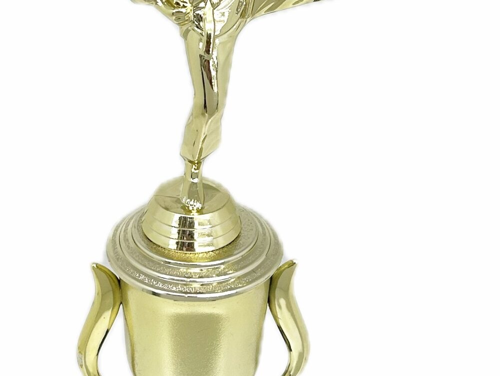 Karate Female Trophy 350mm