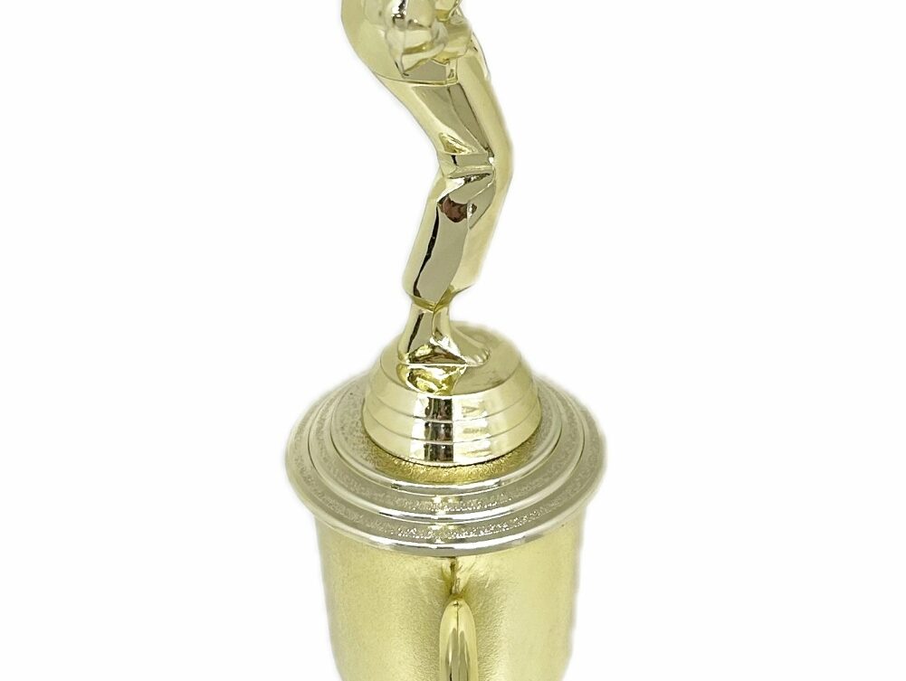 Karate Female Trophy 350mm