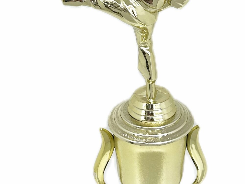 Karate Female Trophy 350mm