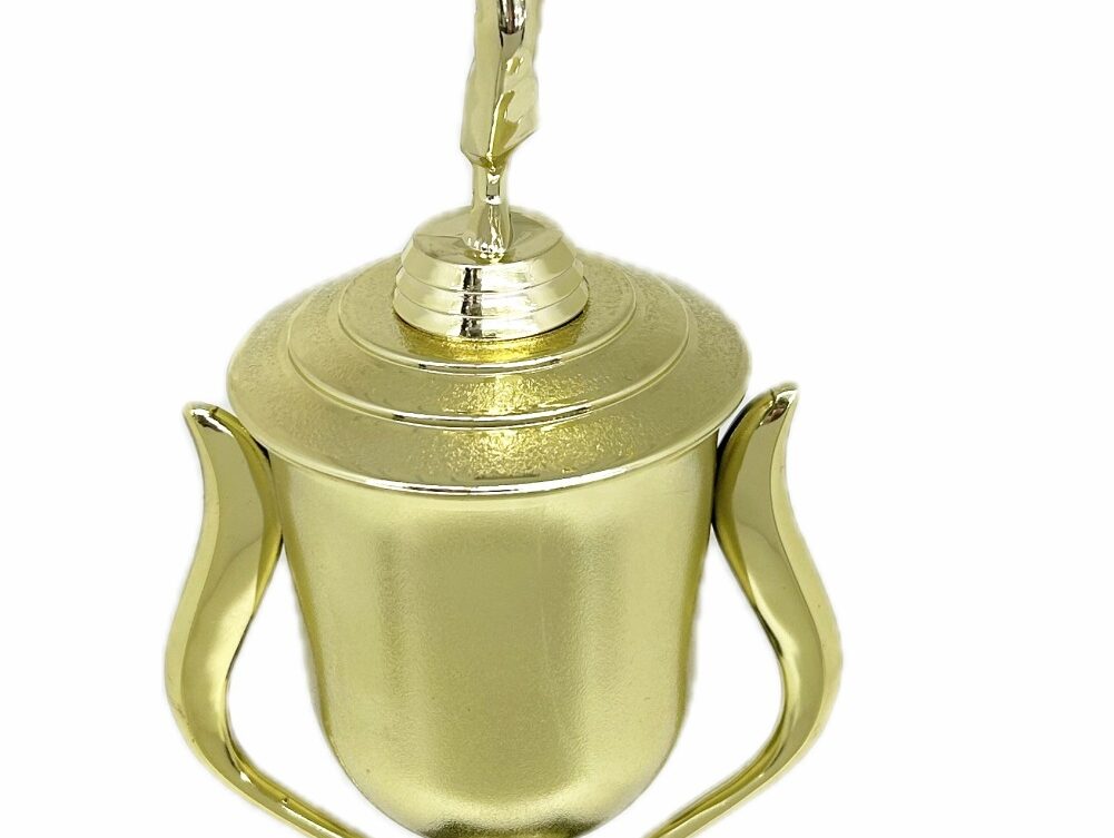 Karate Female Trophy 390mm