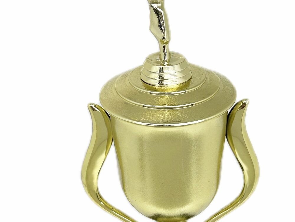 Karate Female Trophy 390mm