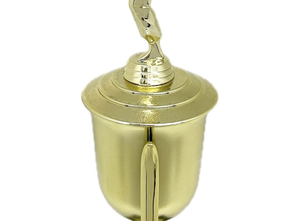 Karate Female Trophy 390mm