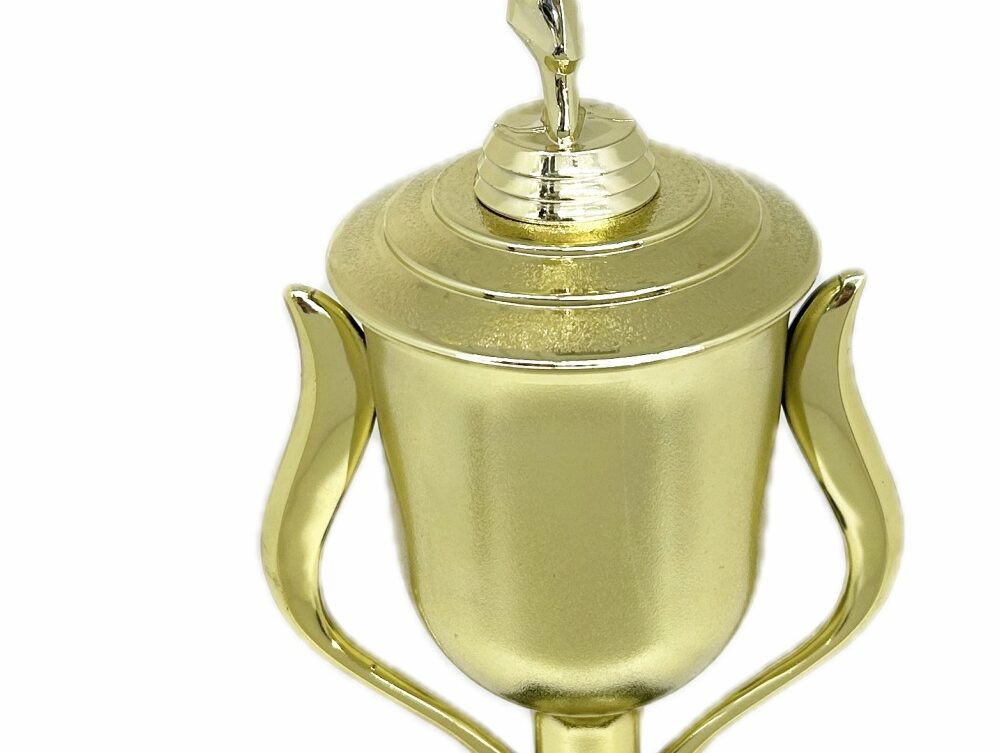 Karate Female Trophy 420mm