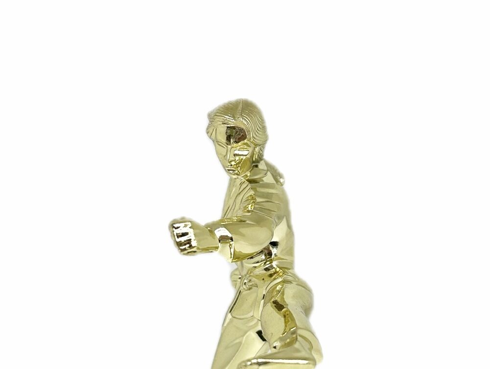 Karate Female Trophy 200mm