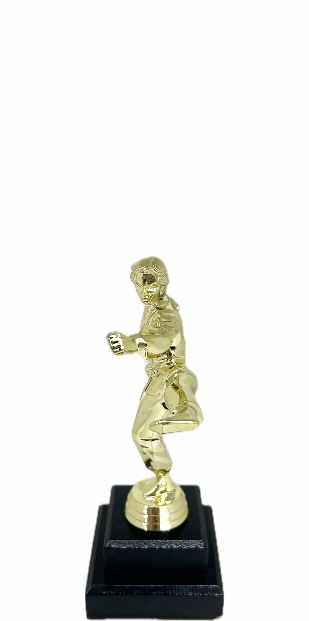 Karate Female Trophy 200mm