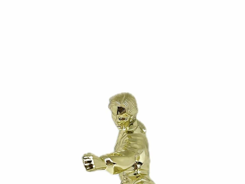 Karate Female Trophy 175mm