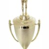 Saleslady Trophy 430mm - Image 3
