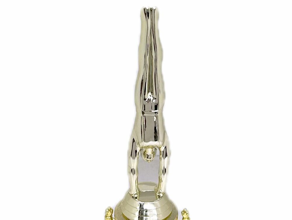 Gymnastics Male Trophy 295mm