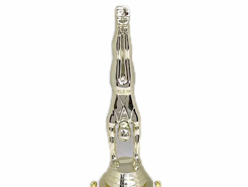 Gymnastics Male Trophy 295mm