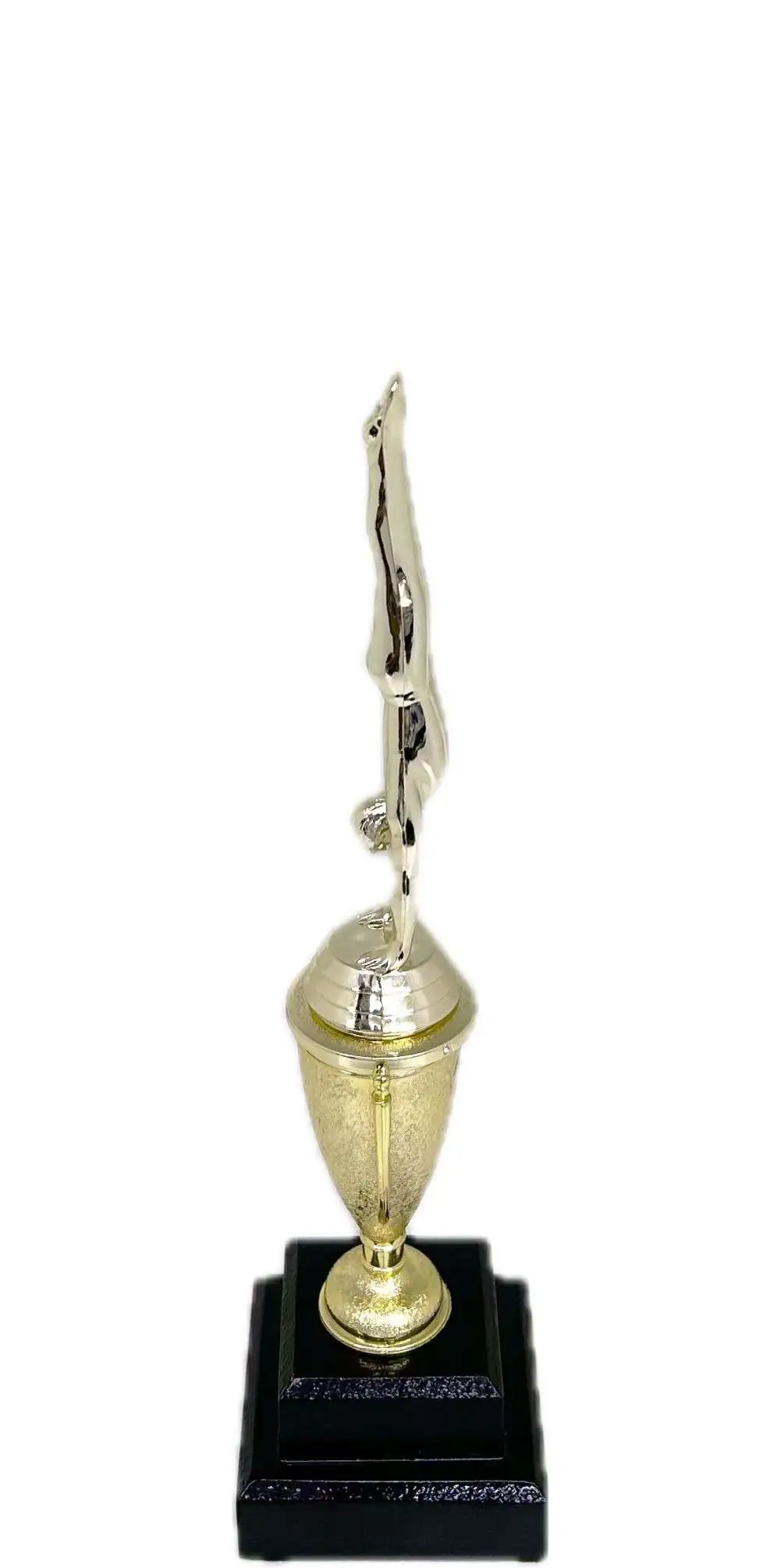 Gymnastics Male Trophy 315mm