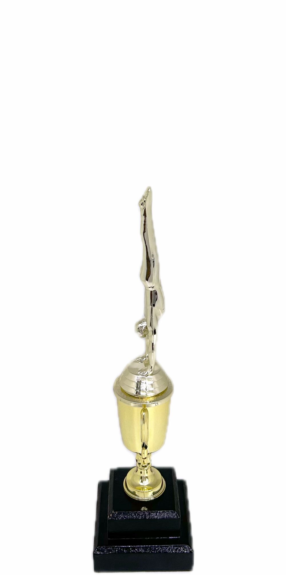 Gymnastics Male Trophy 295mm