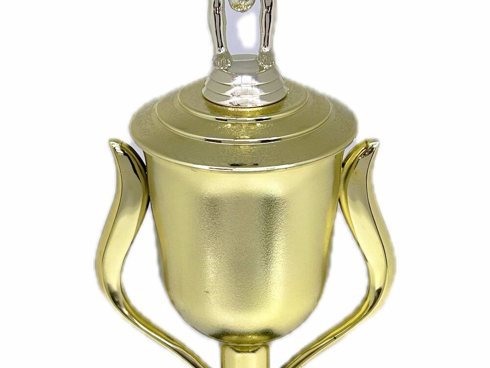 Gymnastics Male Trophy 435mm