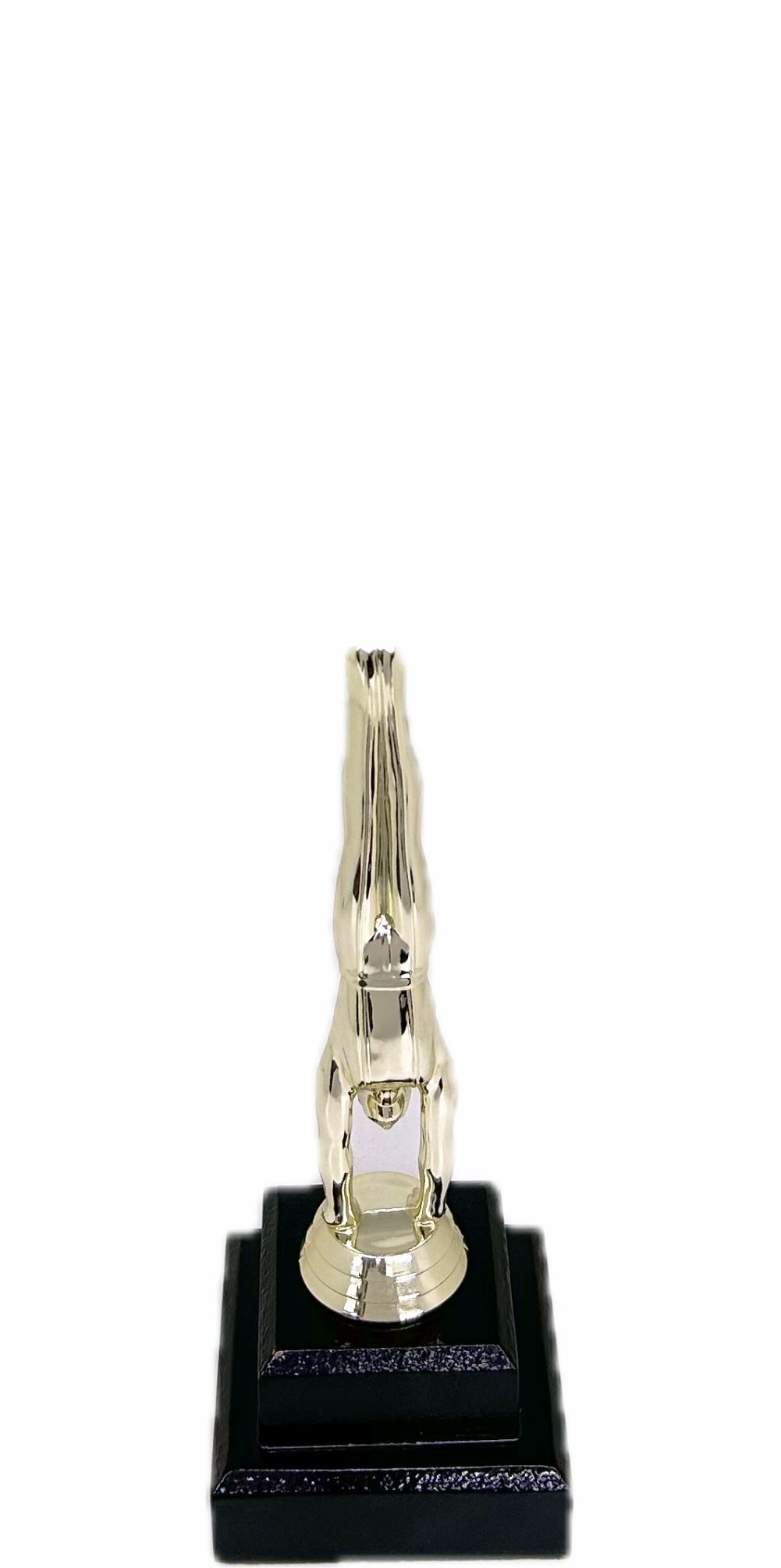 Gymnastics Male Trophy 205mm