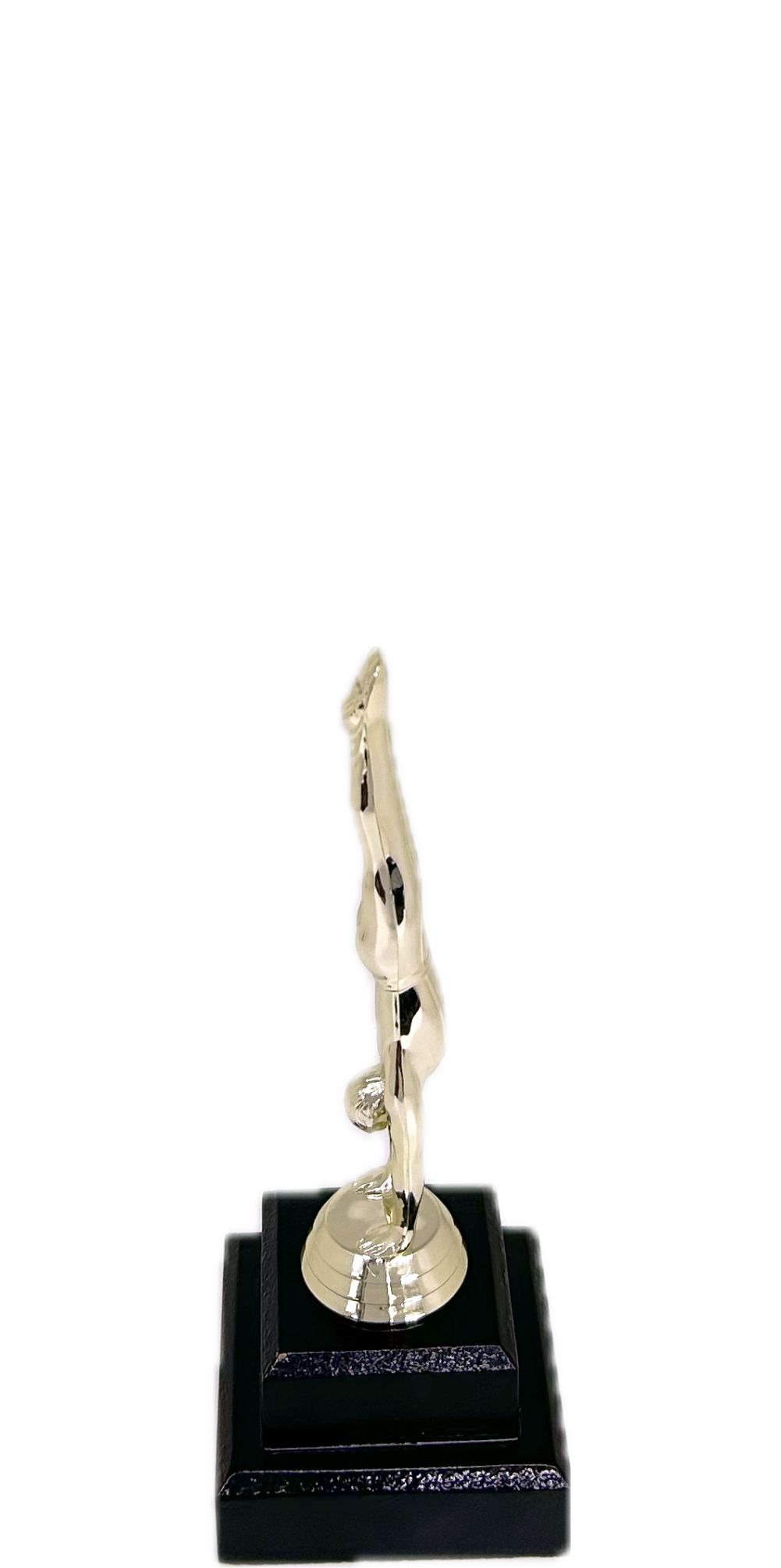 Gymnastics Male Trophy 205mm