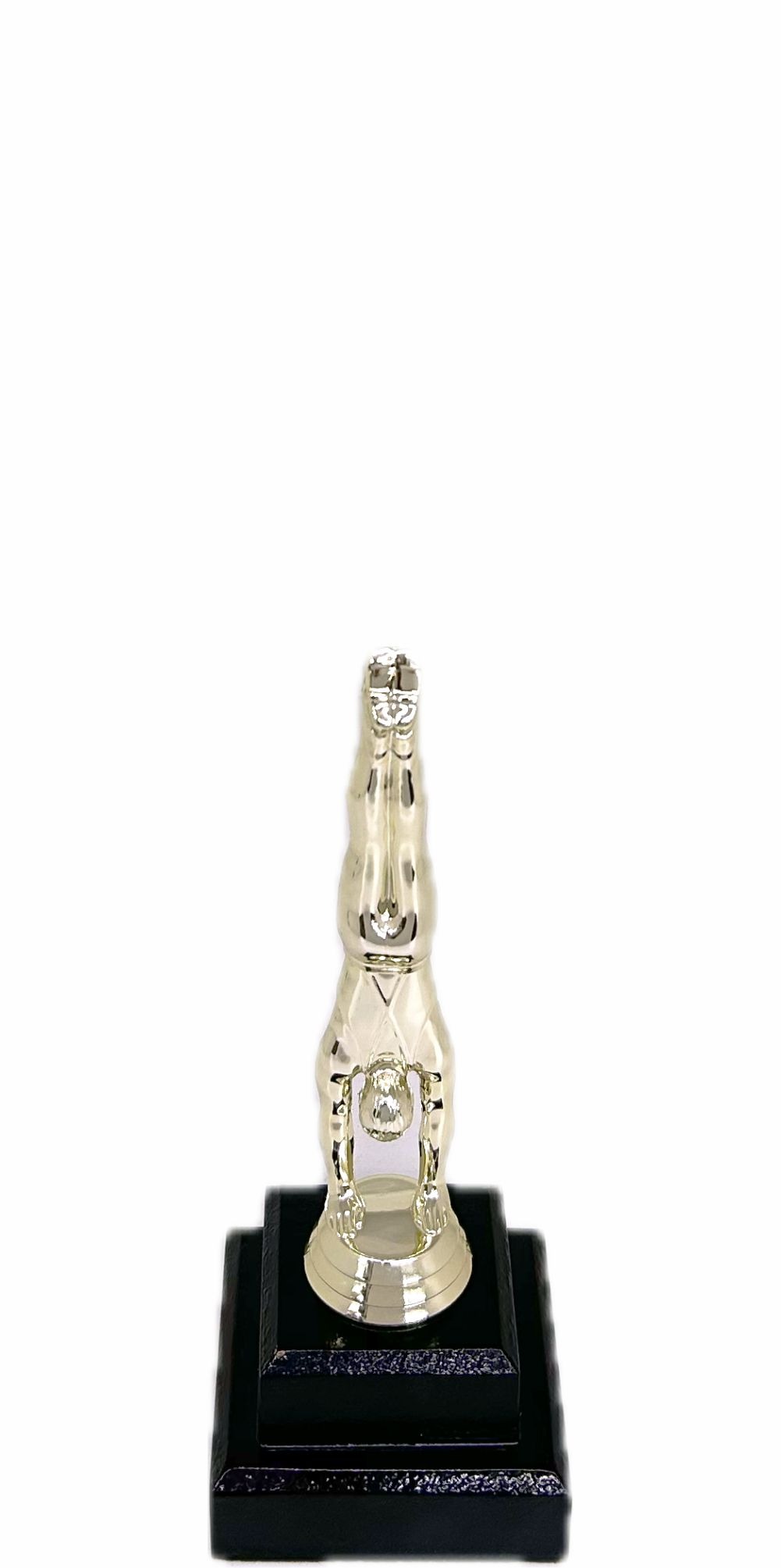 Gymnastics Male Trophy 205mm