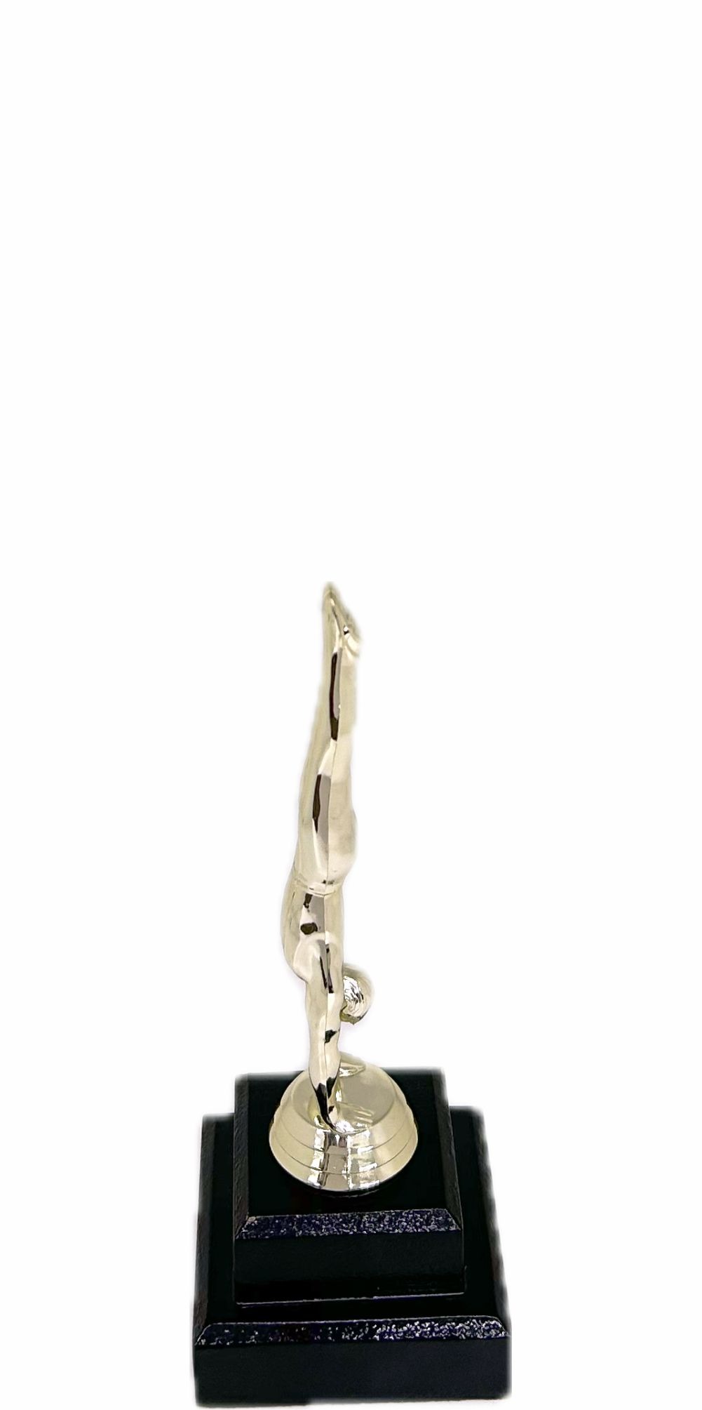 Gymnastics Male Trophy 205mm