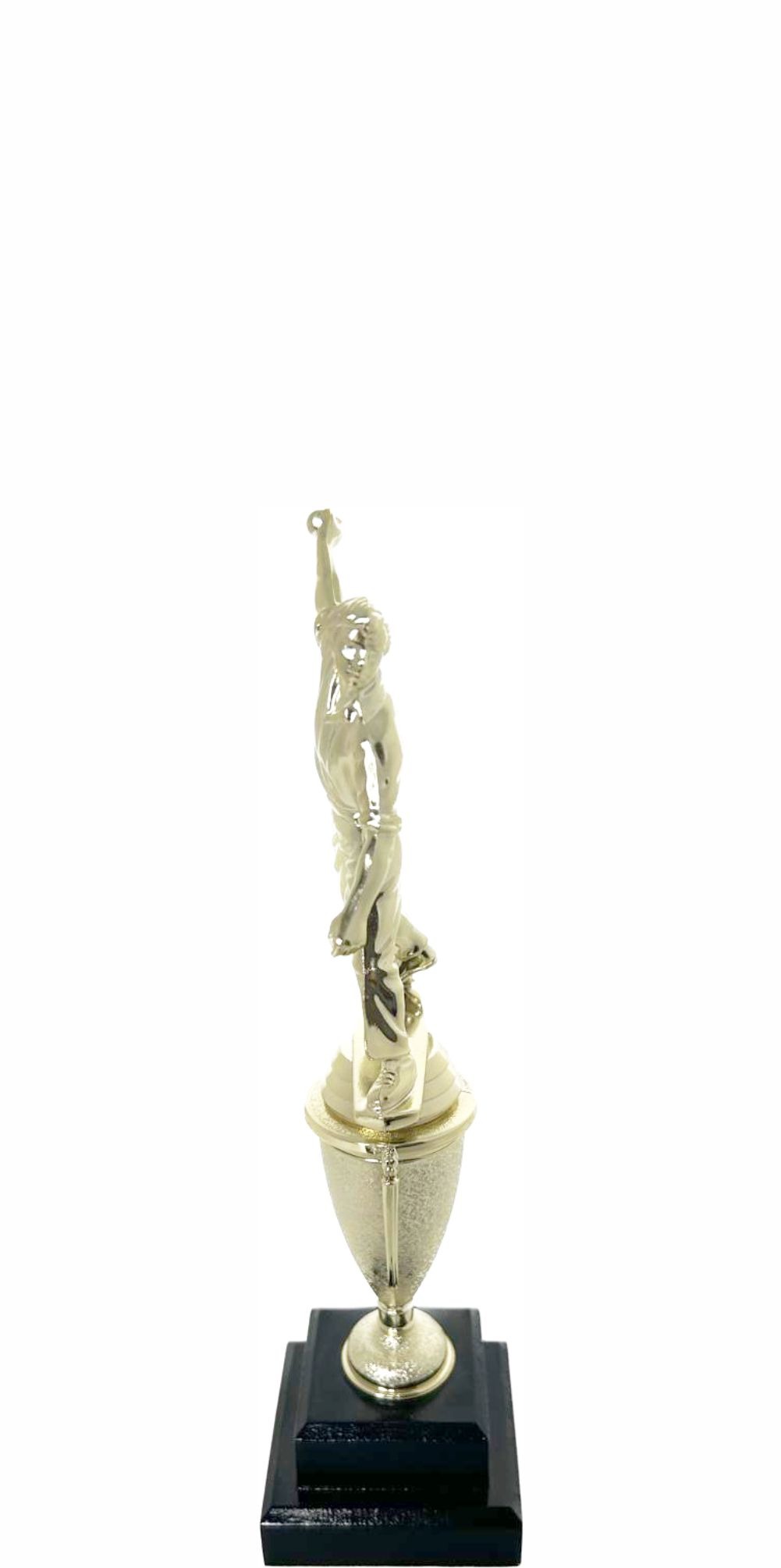 Cricket Bowler Trophy 275mm