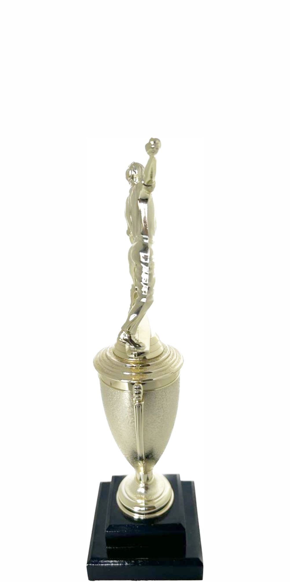 Cricket Bowler Trophy 295mm