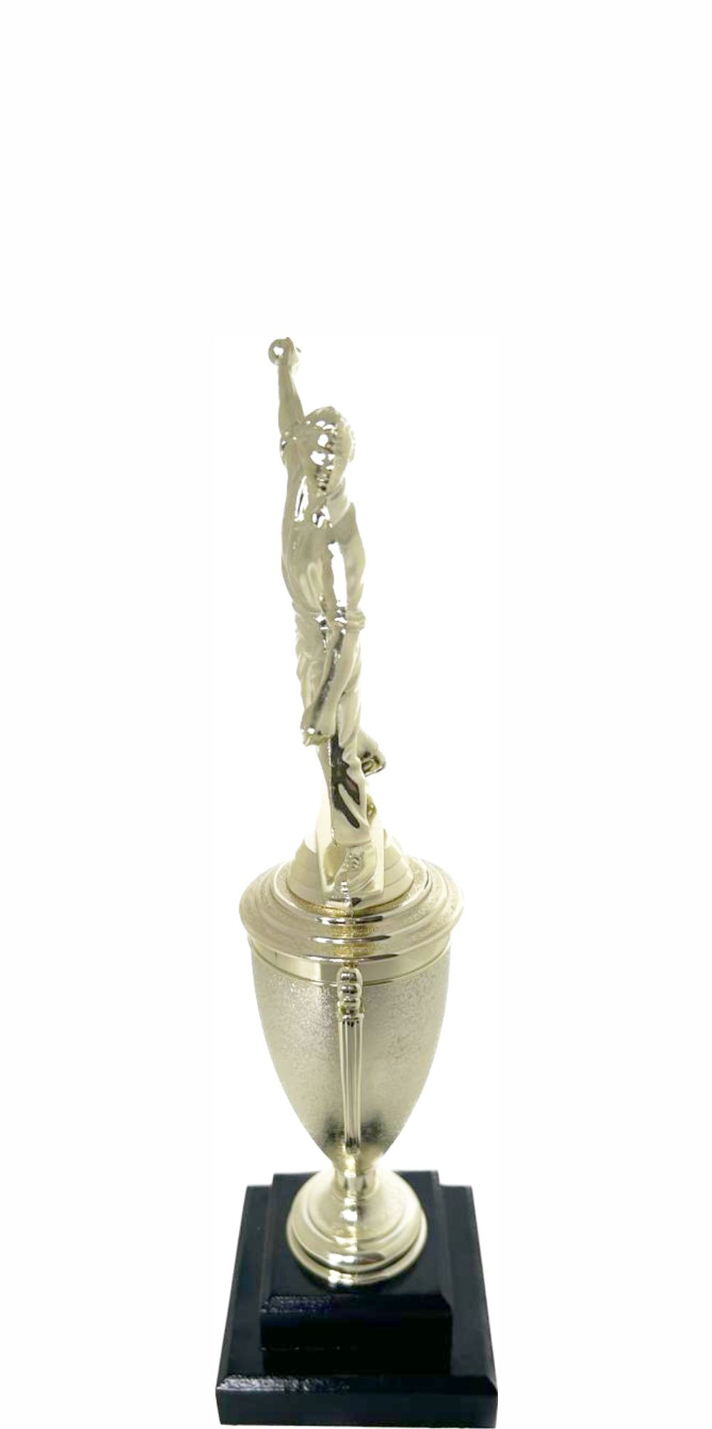 Cricket Bowler Trophy 295mm