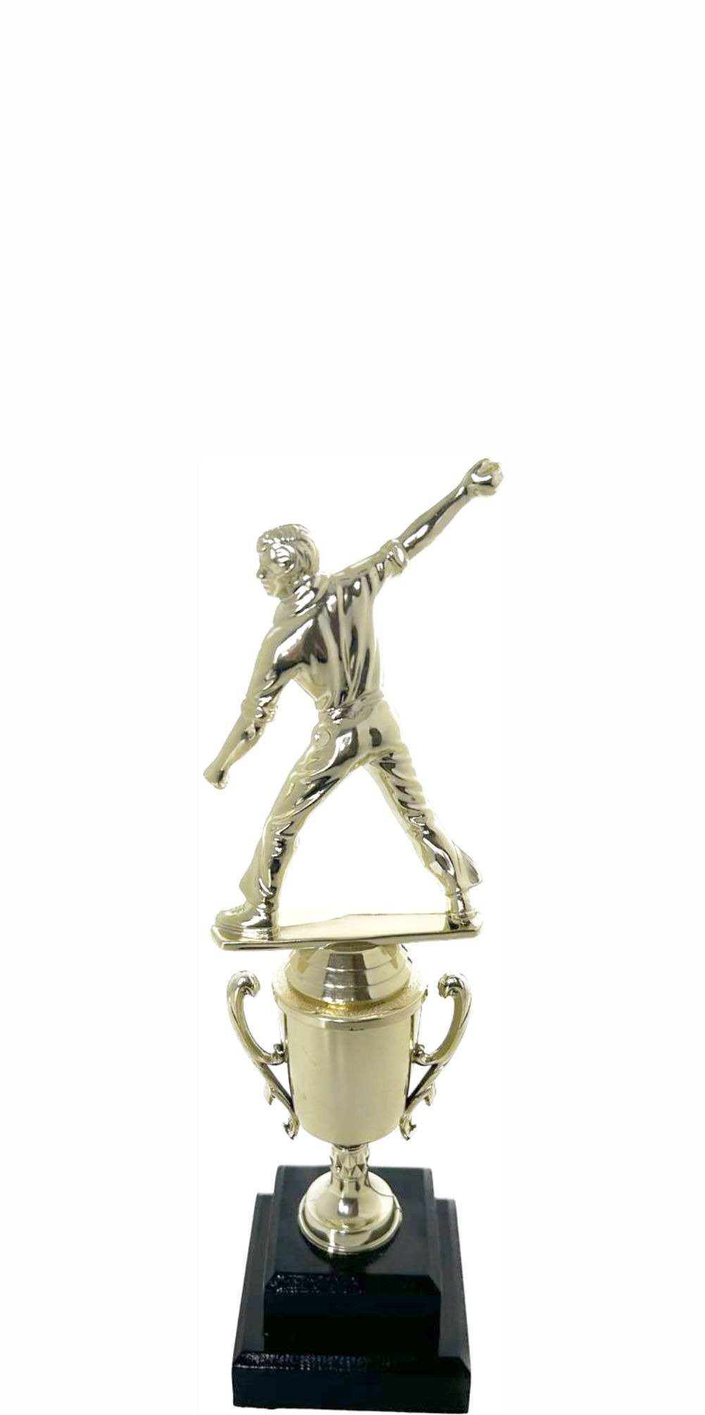 Cricket Bowler Trophy 275mm