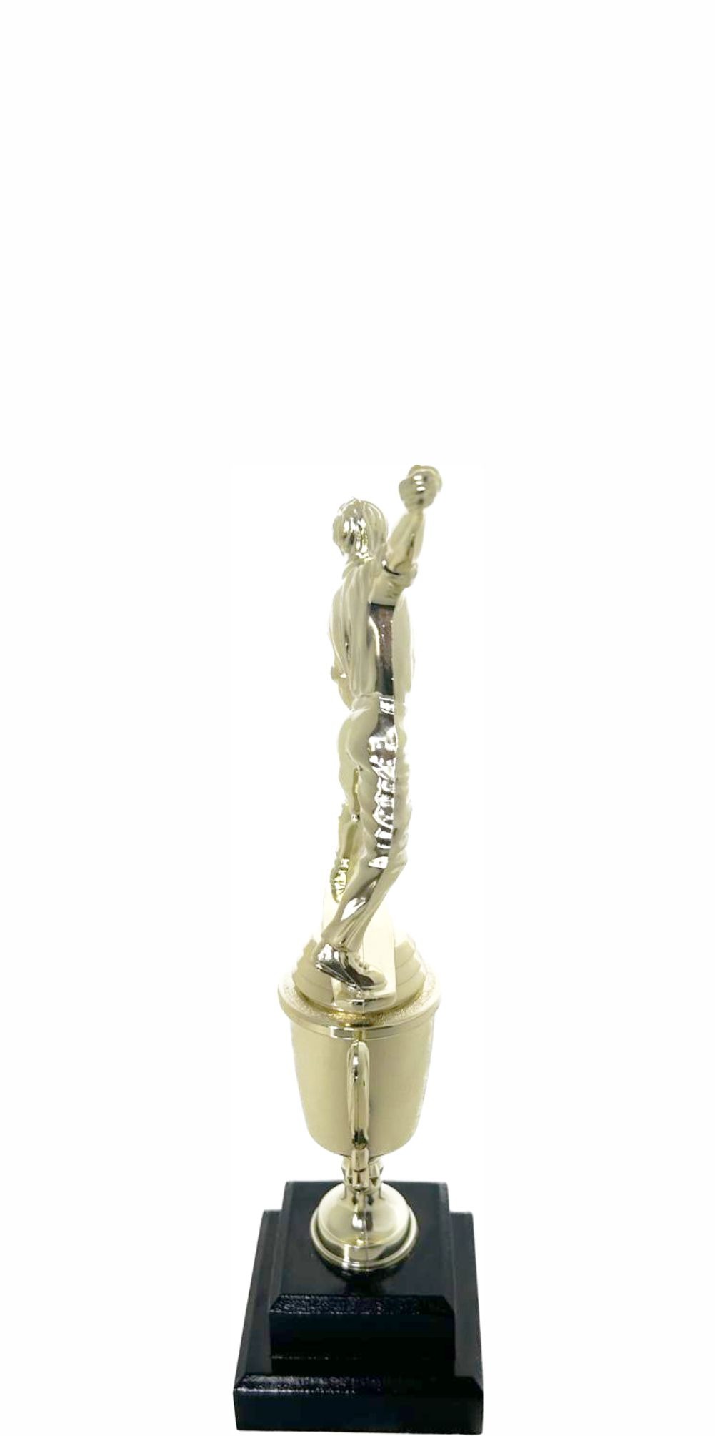 Cricket Bowler Trophy 275mm