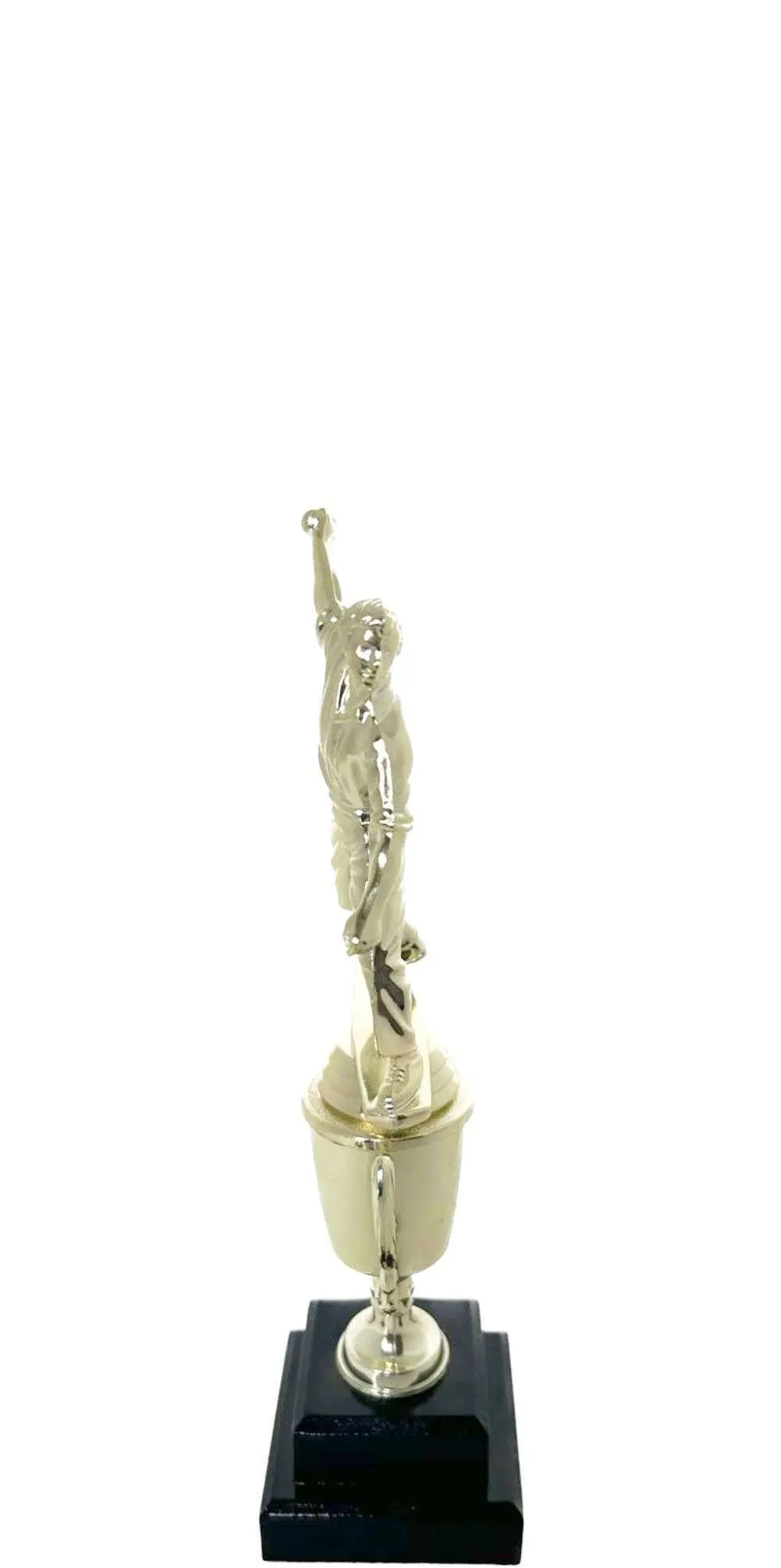 Cricket Bowler Trophy 275mm