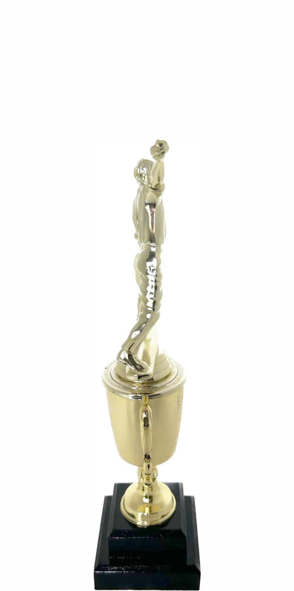 Cricket Bowler Trophy 295mm