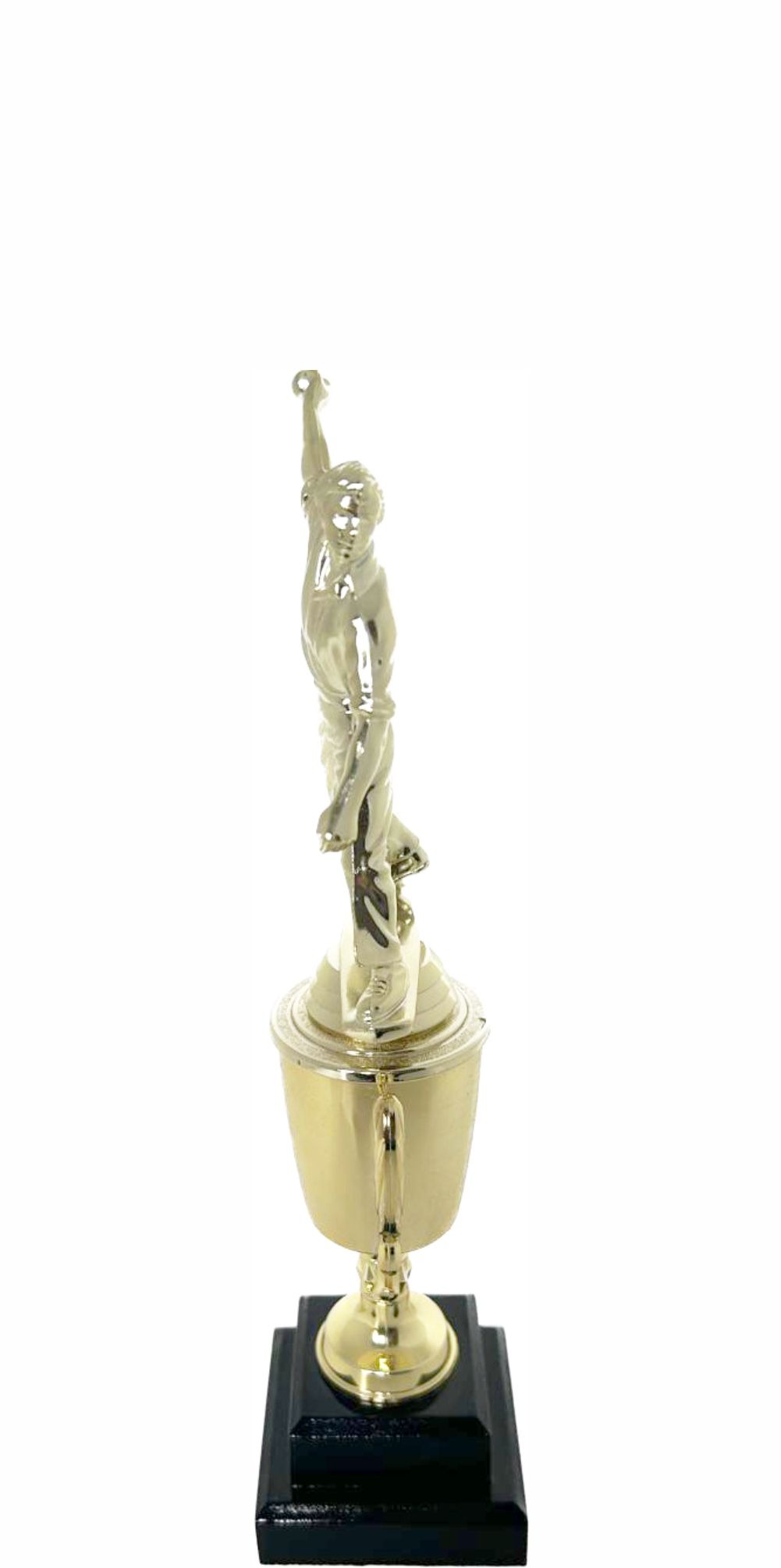 Cricket Bowler Trophy 295mm