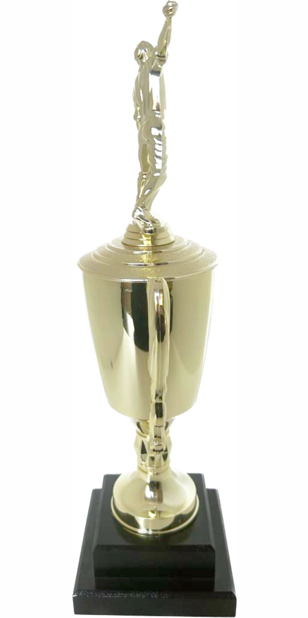 Cricket Bowler Trophy 405mm
