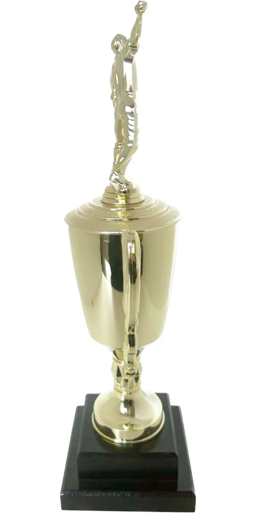 Cricket Bowler Trophy 405mm